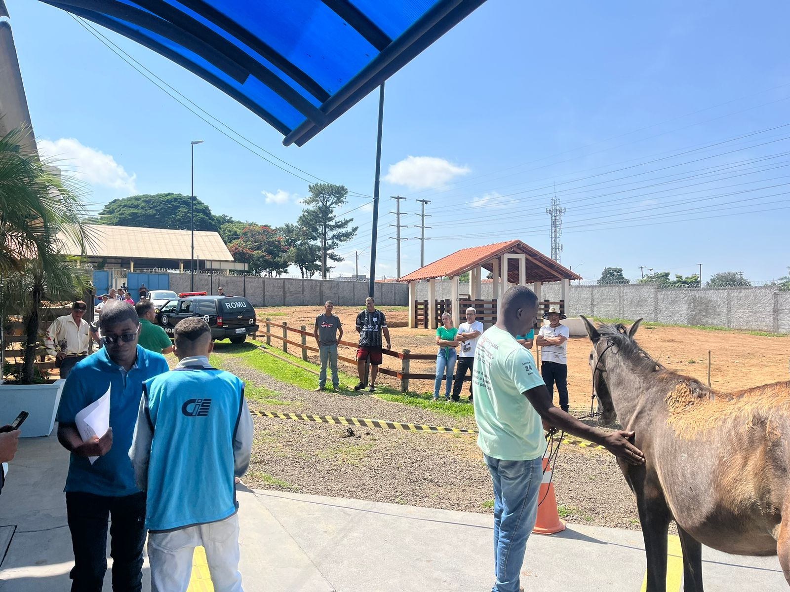 Último leilão de 2023 tem 15 animais arrematados