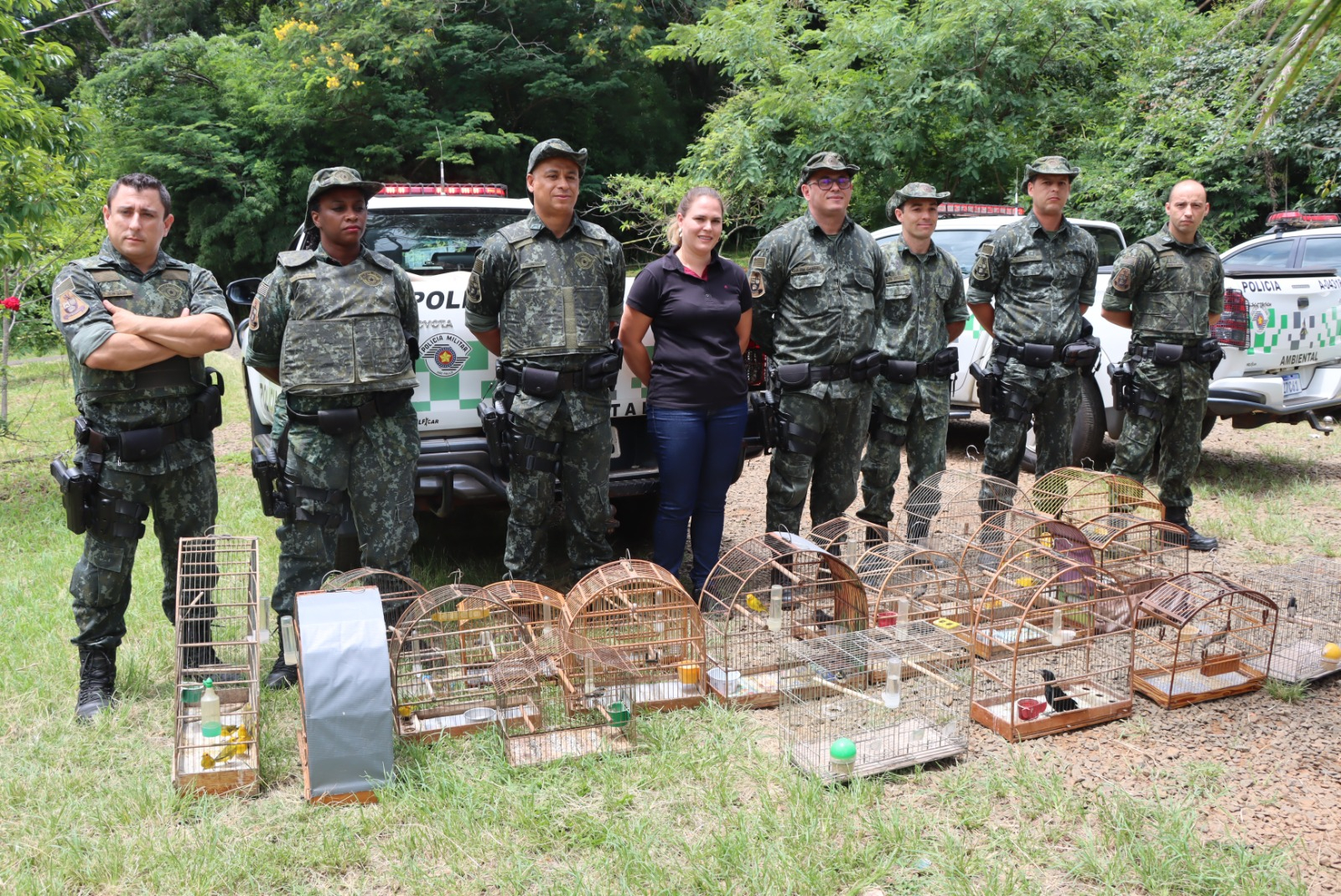 Zoobotânico e Polícia Ambiental fazem a soltura de 165 aves