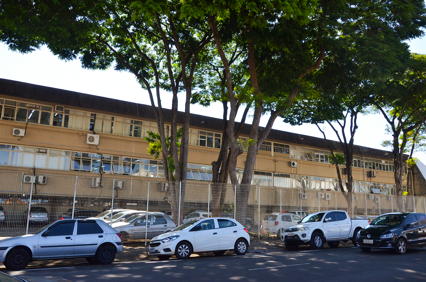 Feriado de Consciência Negra altera funcionamento de repartições públicas
