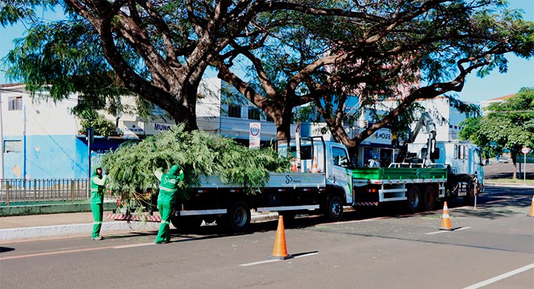 Prefeitura intensifica trabalho de poda de árvores em diversas regiões da cidade