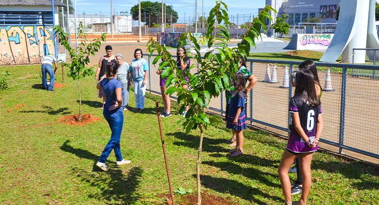 Plantios no Parque dos Trabalhadores marcam início da Semana da Árvore