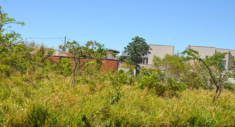 Proprietários são notificados para limpeza de terrenos