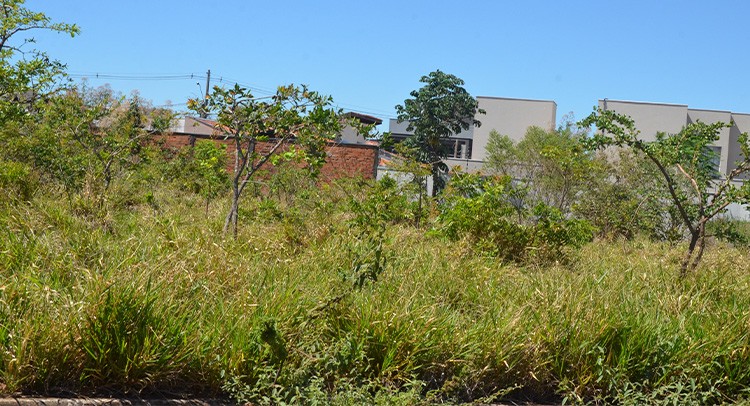Vigilância intima donos de terrenos para limpeza
