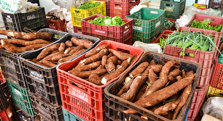 Ação Social realiza distribuição de mais de 75 toneladas de alimentos em 2025