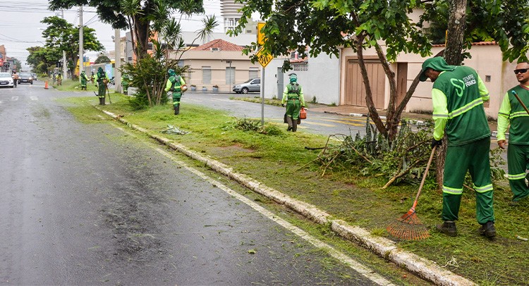 Meio Ambiente intensifica podas e roçadas