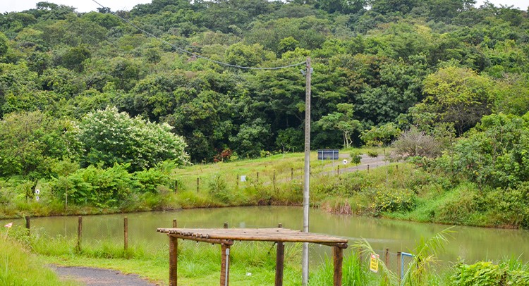 Parque dos Trabalhadores recebe ação ambiental ‘1 Bebê, 1 Árvore’