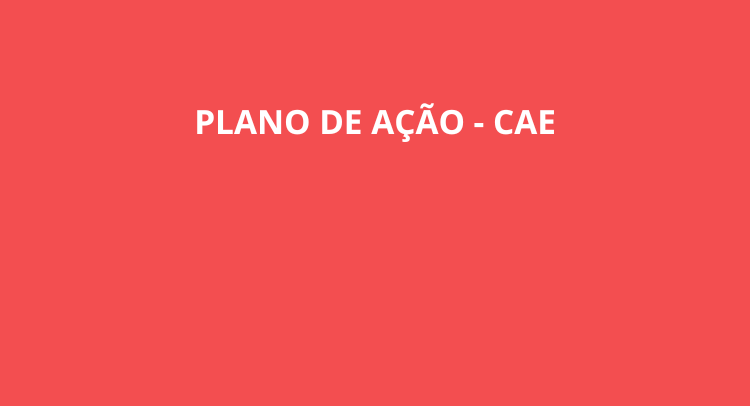 Plano de Ação  CAE