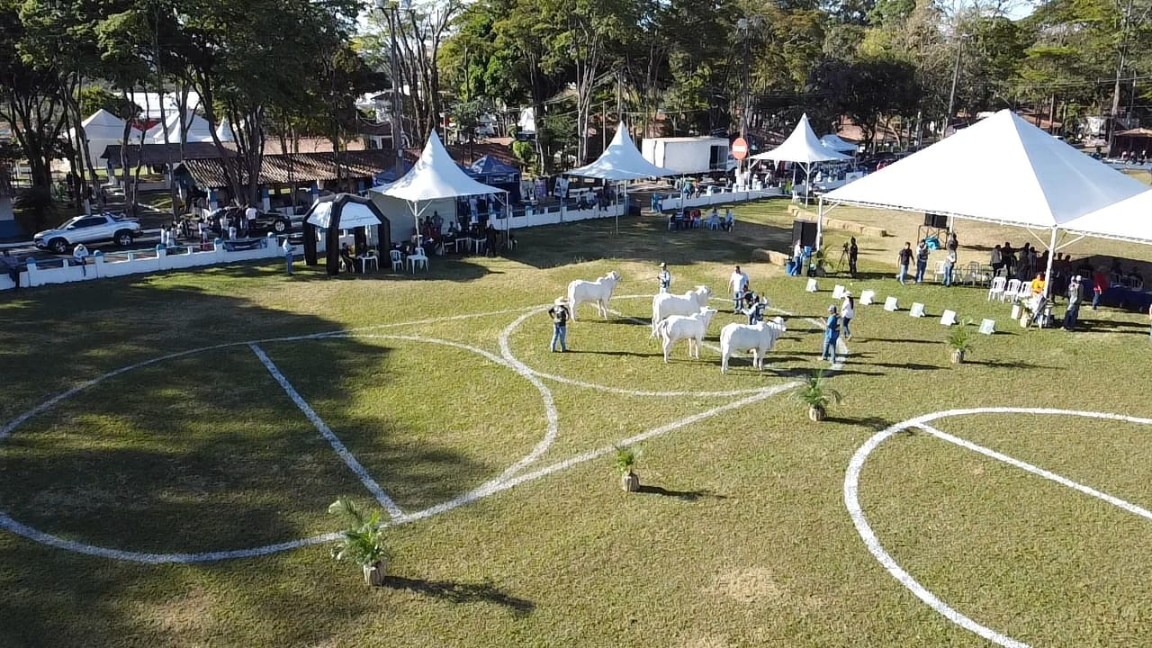 Desenvolvimento divulga programação da parte técnica da Expoagro