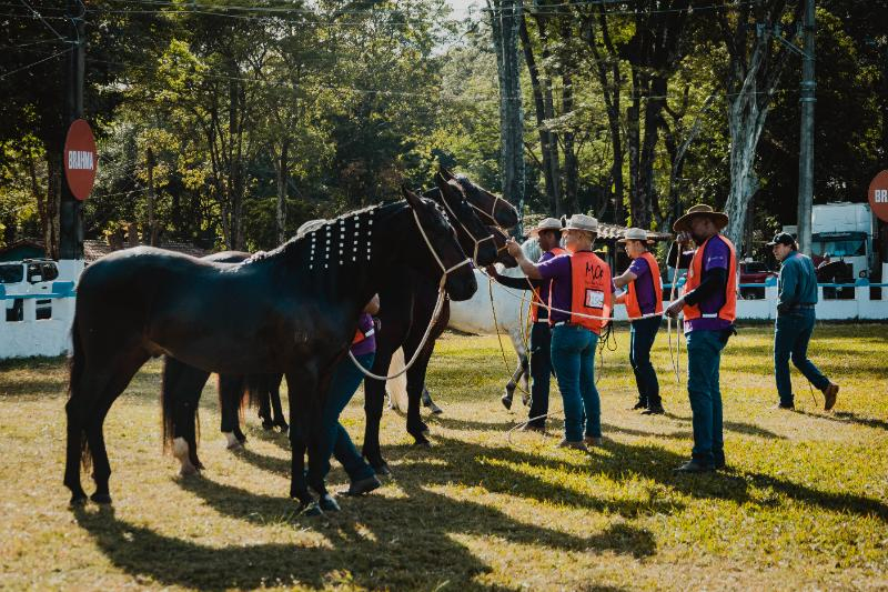 Expoagro termina com desfile de cães e premiação de cavalos