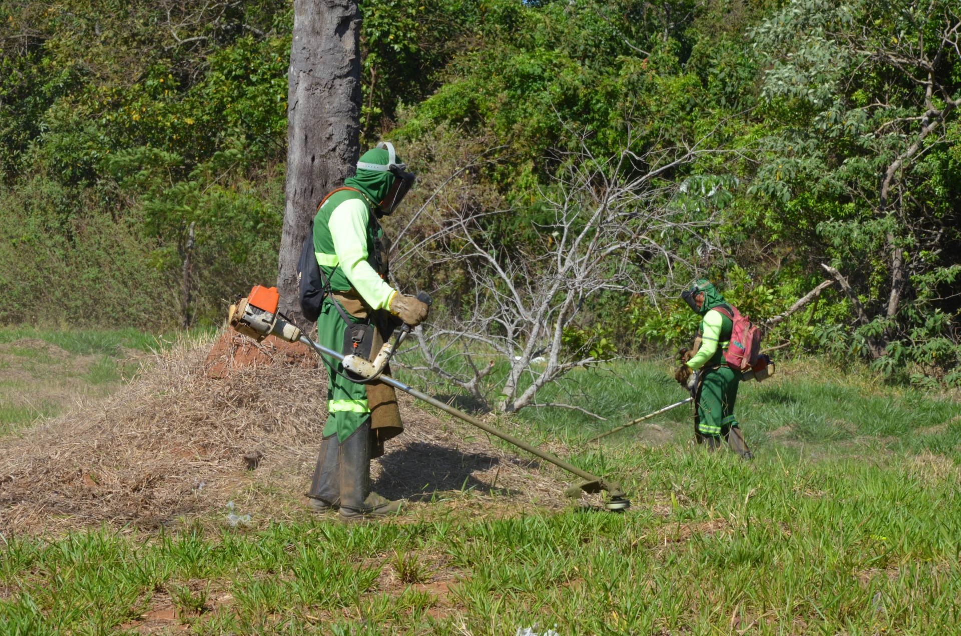 Meio Ambiente intensifica limpeza das áreas públicas
