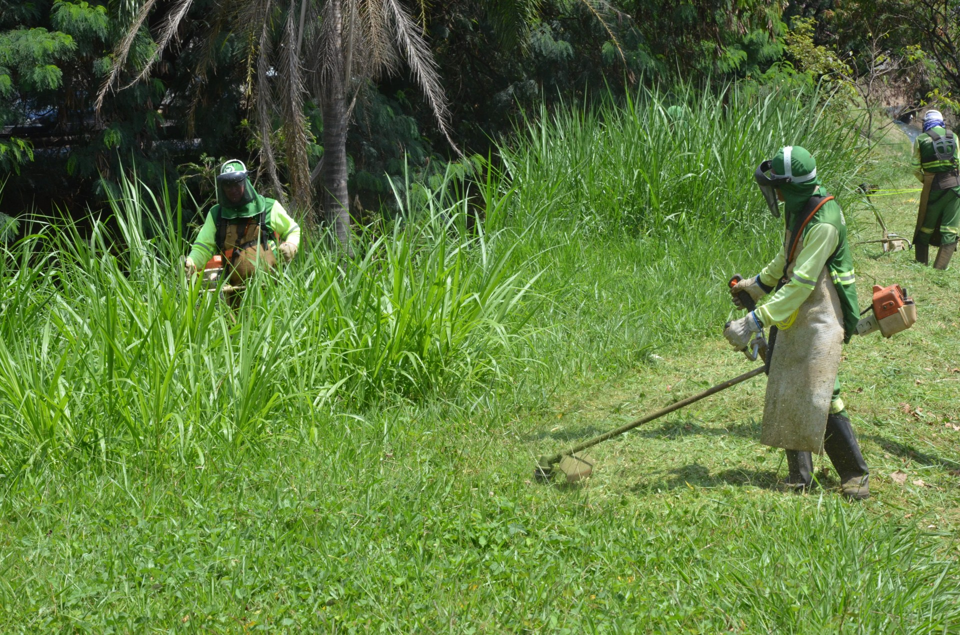 Meio Ambiente intensifica serviços de limpeza