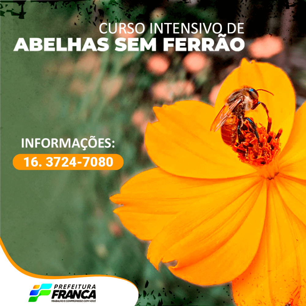 Desenvolvimento abre inscrições para Curso de Meliponicultura