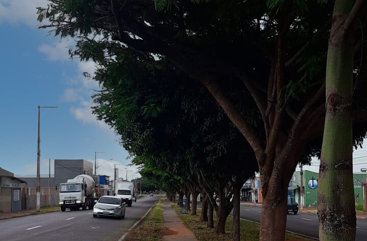 Av. Jaime Telini recebe operação limpeza