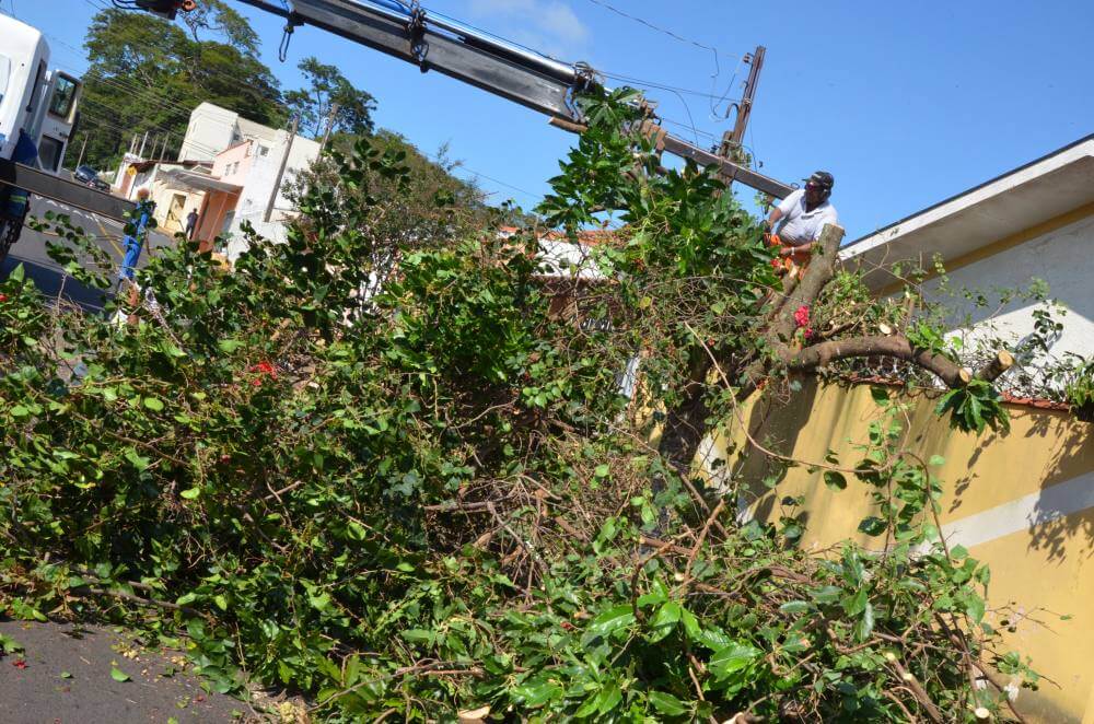 Secretaria realiza podas em ruas da região Oeste