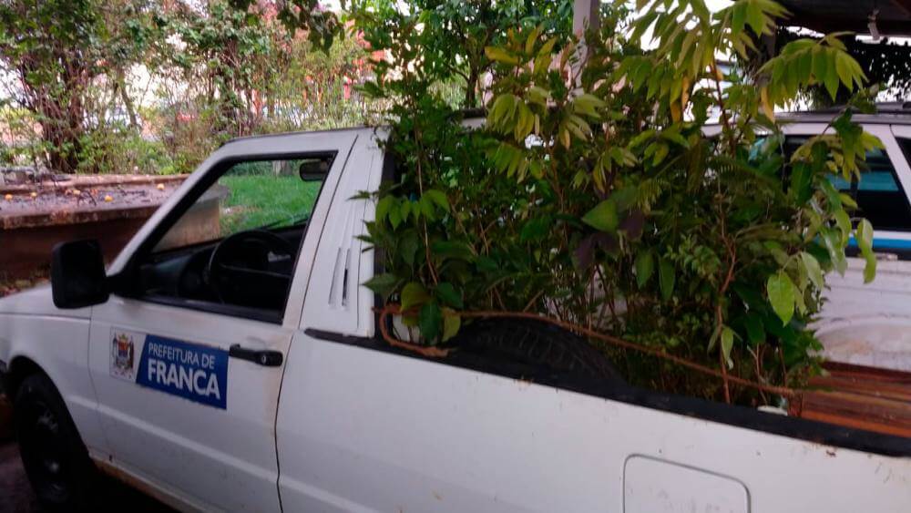 Plantio comunitário no Jardim Piratininga