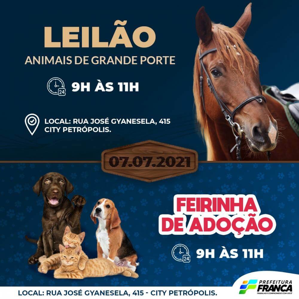 Canil promove o terceiro leilão de animais de grande porte