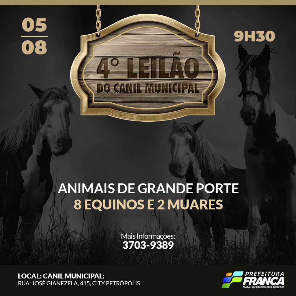 Meio Ambiente prepara novo leilão de animais