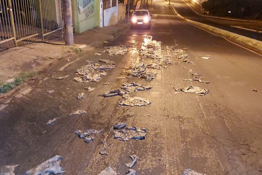 Guarda Civil flagra transporte irregular de couro