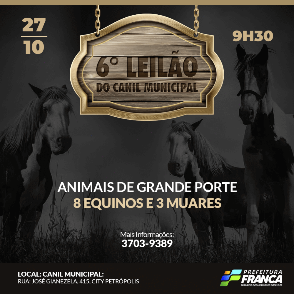 Canil Municipal realizará o 6° Leilão de Animais