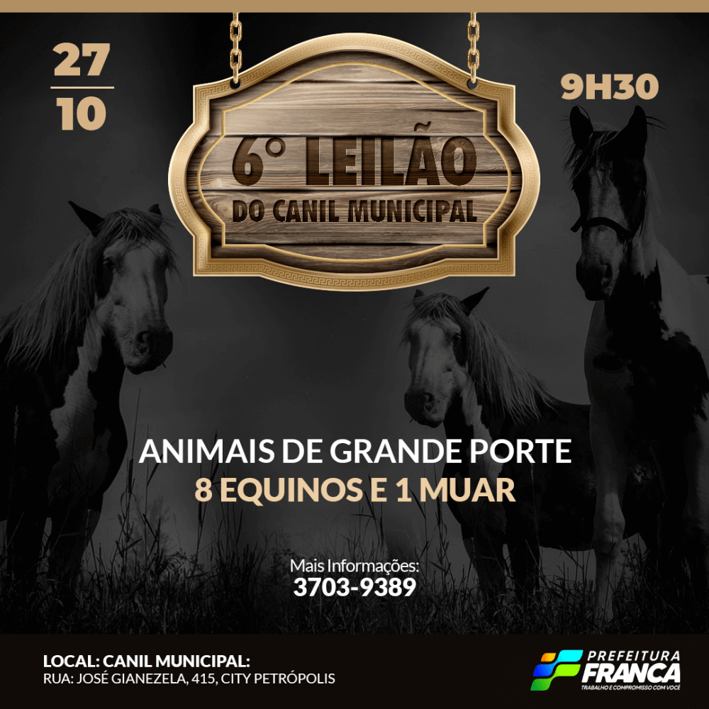 6° Leilão de Animais será nesta quarta-feira