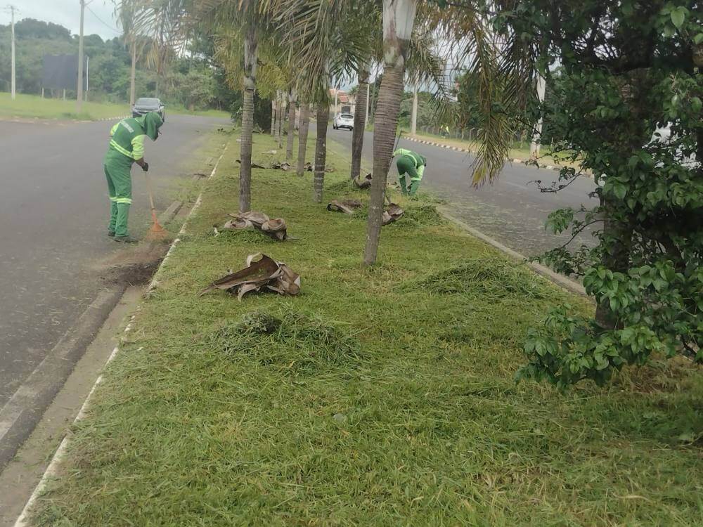 Meio Ambiente intensifica serviços de podas e limpeza