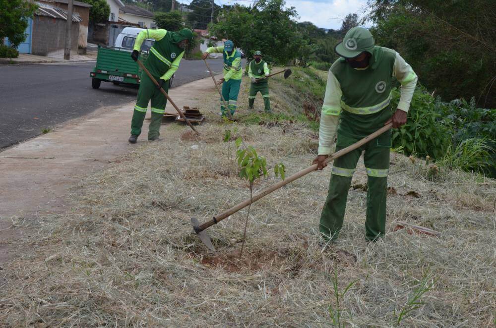 Meio Ambiente realiza plantio de 250 mudas em APP no Dermínio