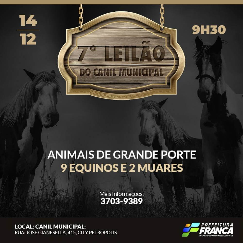 Canil Municipal realiza 7° Leilão de Animais na próxima semana