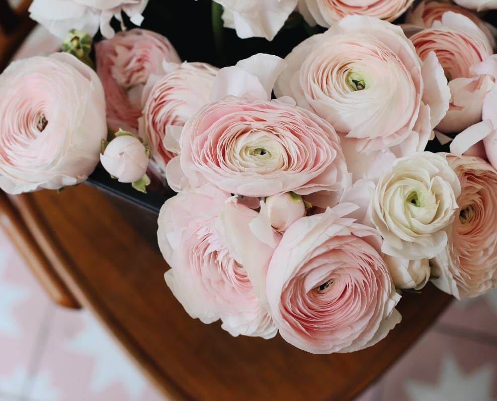 Prefeitura publica edital de leilão de espaço para o Dia de Finados