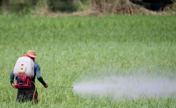 Caminho para o Emprego abre inscrições para cursos na área de agropecuária