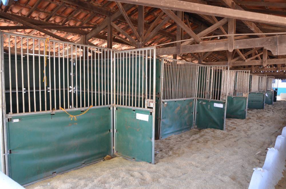 Franca sedia Exposição Nacional de Muares