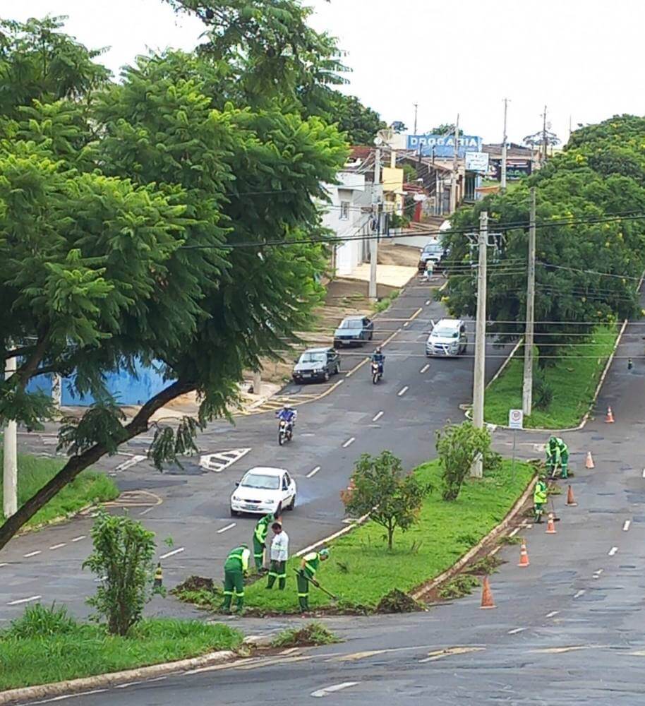 Prefeitura mantém operação limpeza e podas em áreas públicas