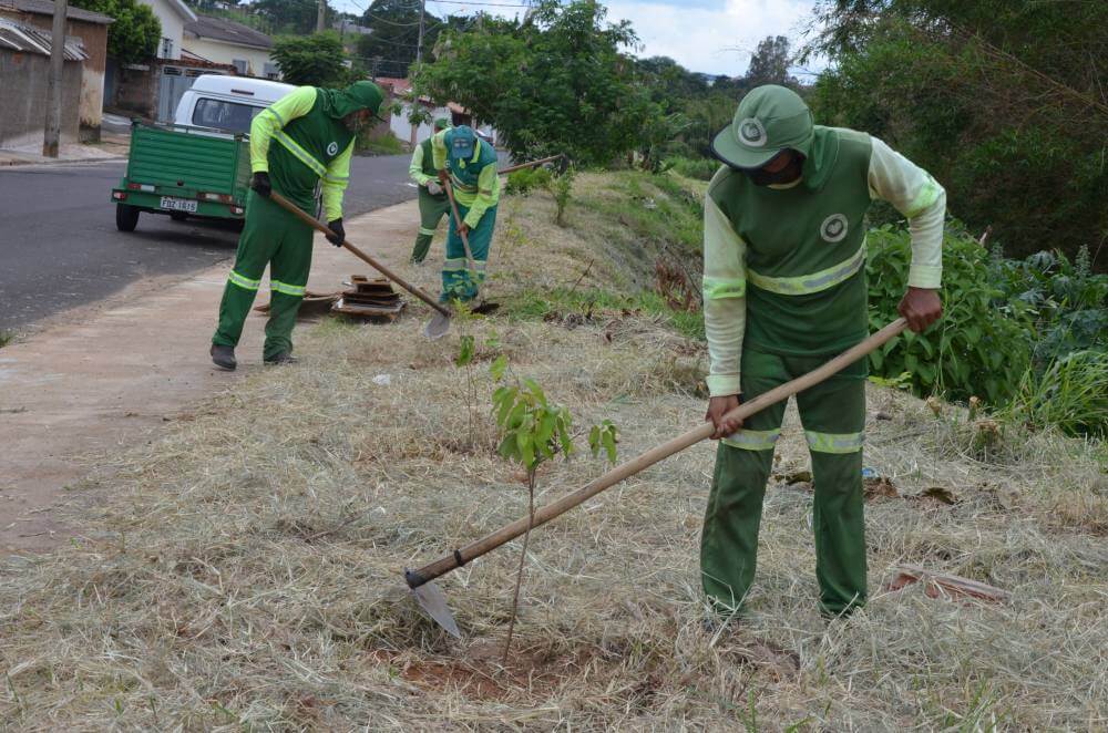 Prefeitura inicia plantio de duas mil mudas em APPs