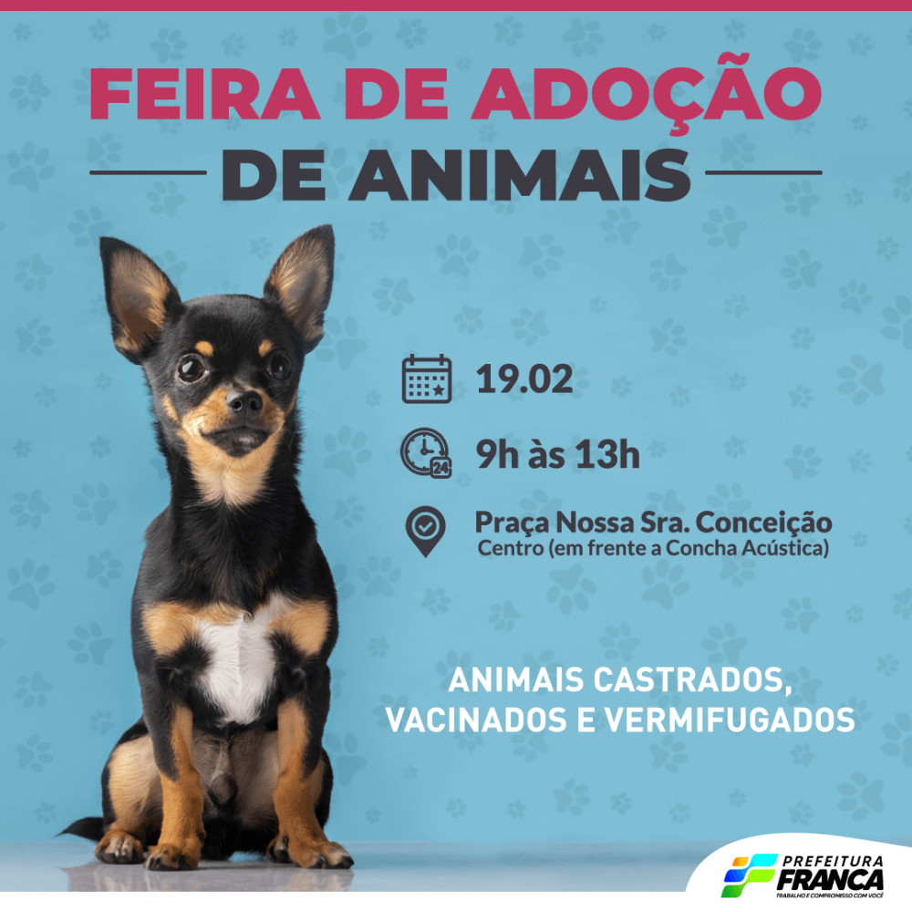 Canil Municipal realiza Feira de Doação de animais neste sábado