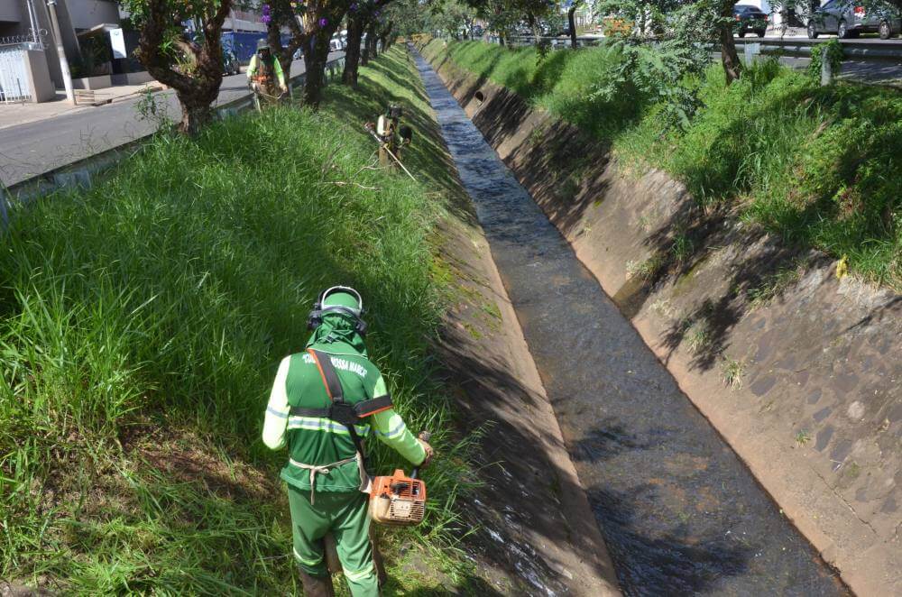 Meio Ambiente amplia serviços de poda e limpeza