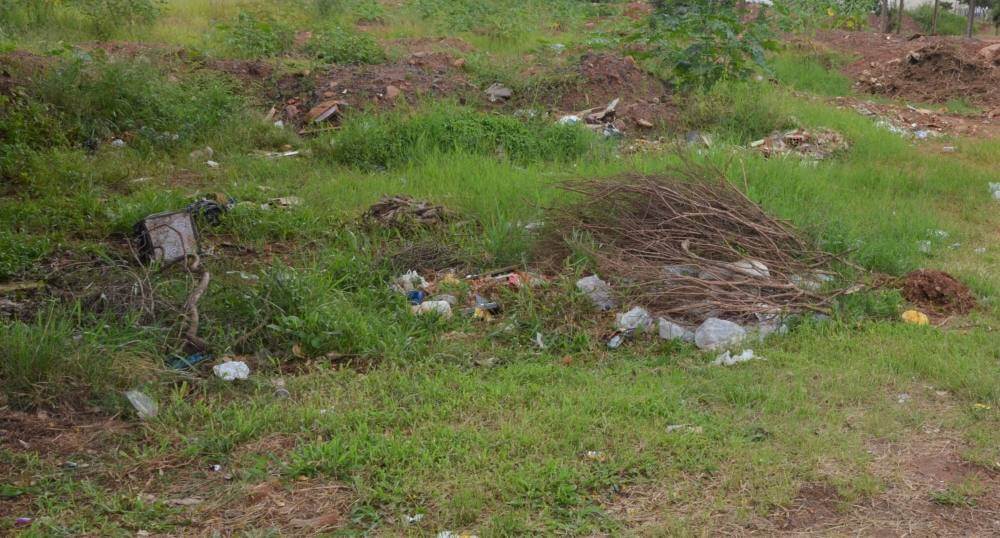 Vigilância Sanitária notifica mais de 1.600 donos de terrenos para limpeza neste ano