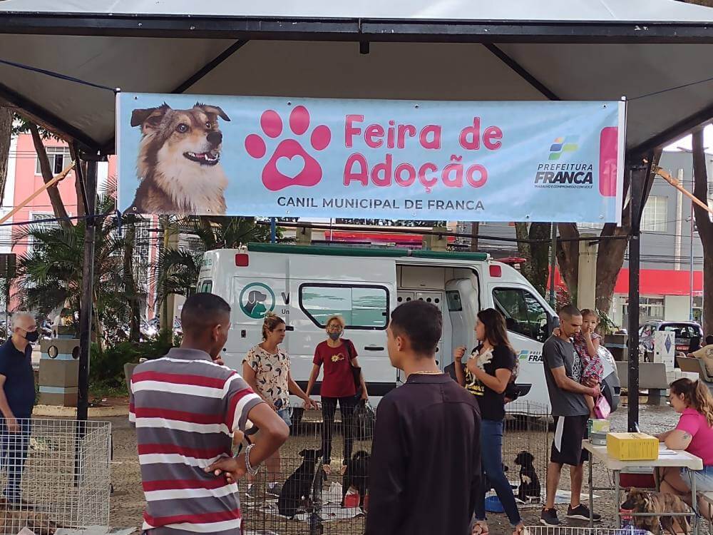 Canil mantém programa de adoção