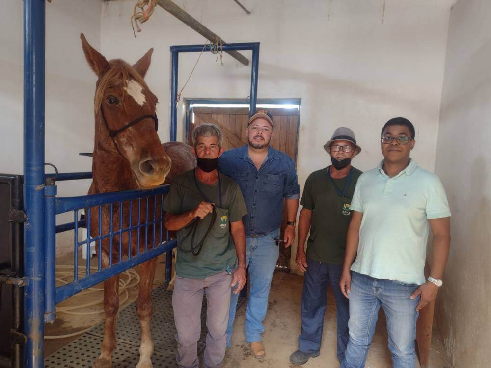 Equipe do Canil localiza e recupera égua furtada da APAE