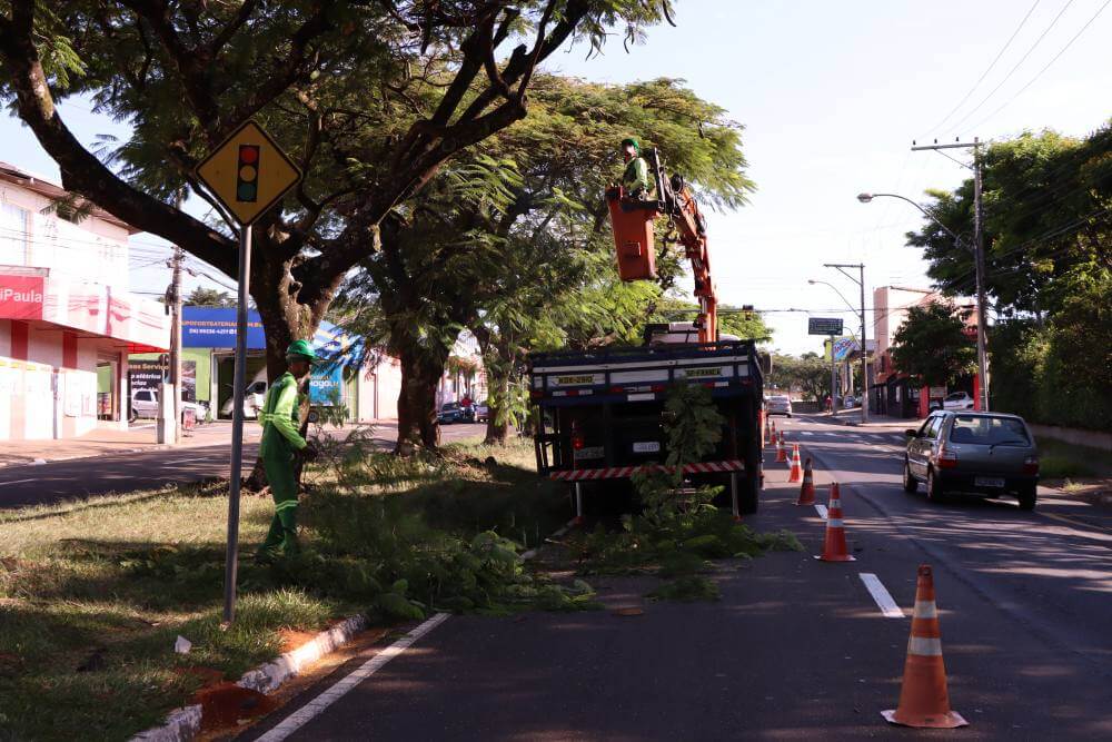 Prefeitura realiza poda em árvores da Av. Orlando Dompieri