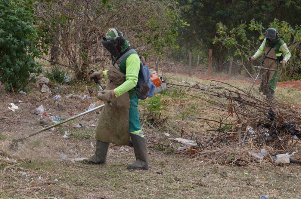 Meio Ambiente amplia limpeza urbana e podas de árvores