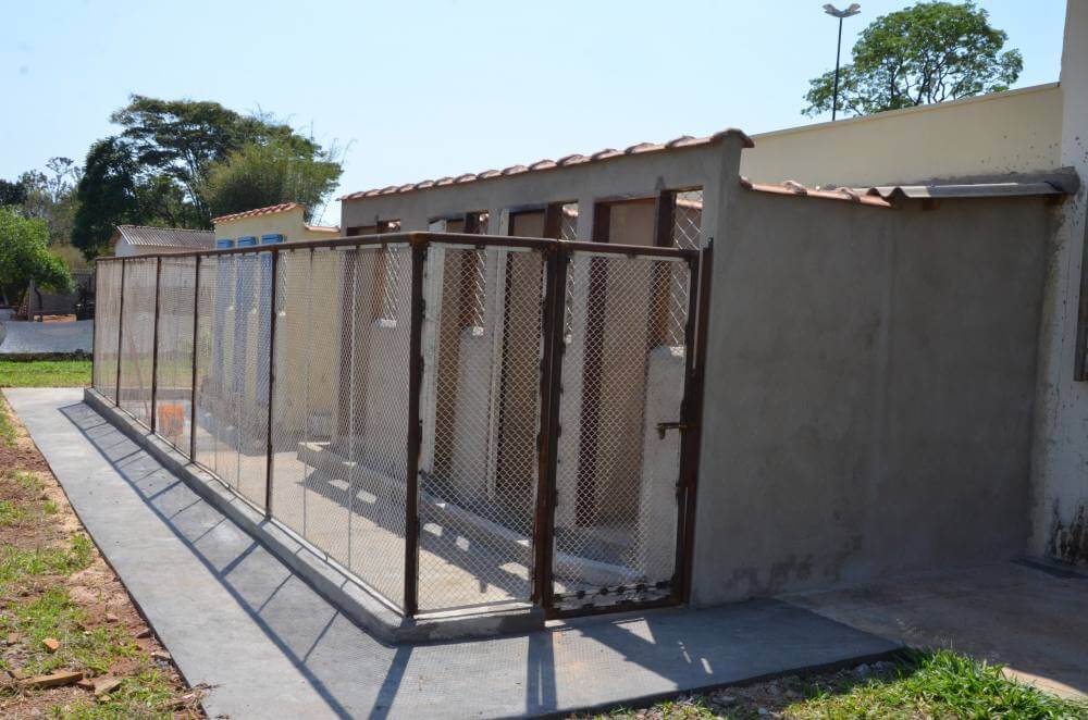 Canil Municipal ganha ampliação e animais para doação