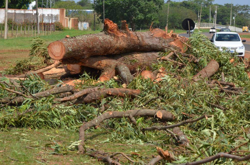 Chuvas fortes causam estragos e mobilizam Defesa Civil