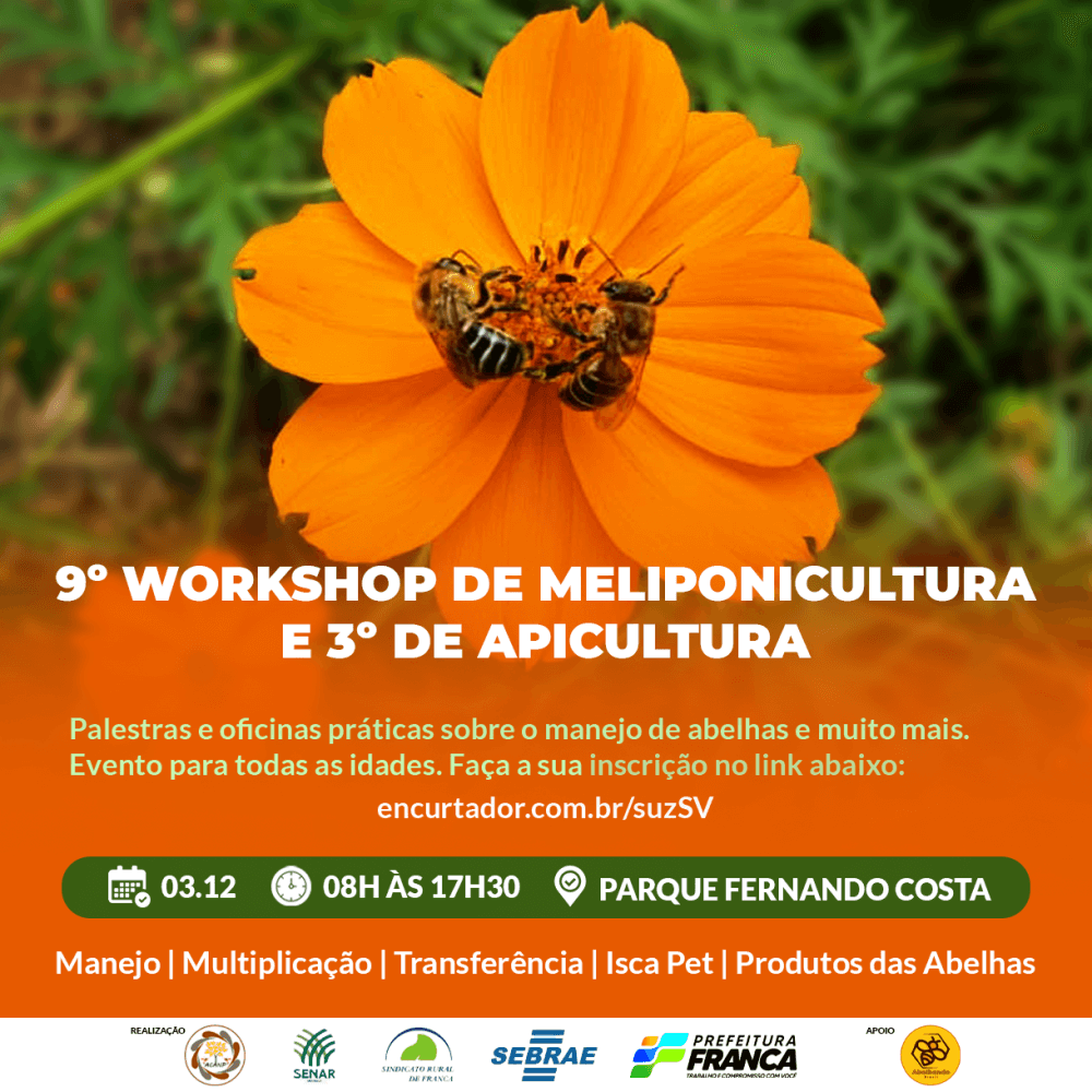 Prefeitura recebe inscrições para Workshop de Meliponicultura e Apicultura