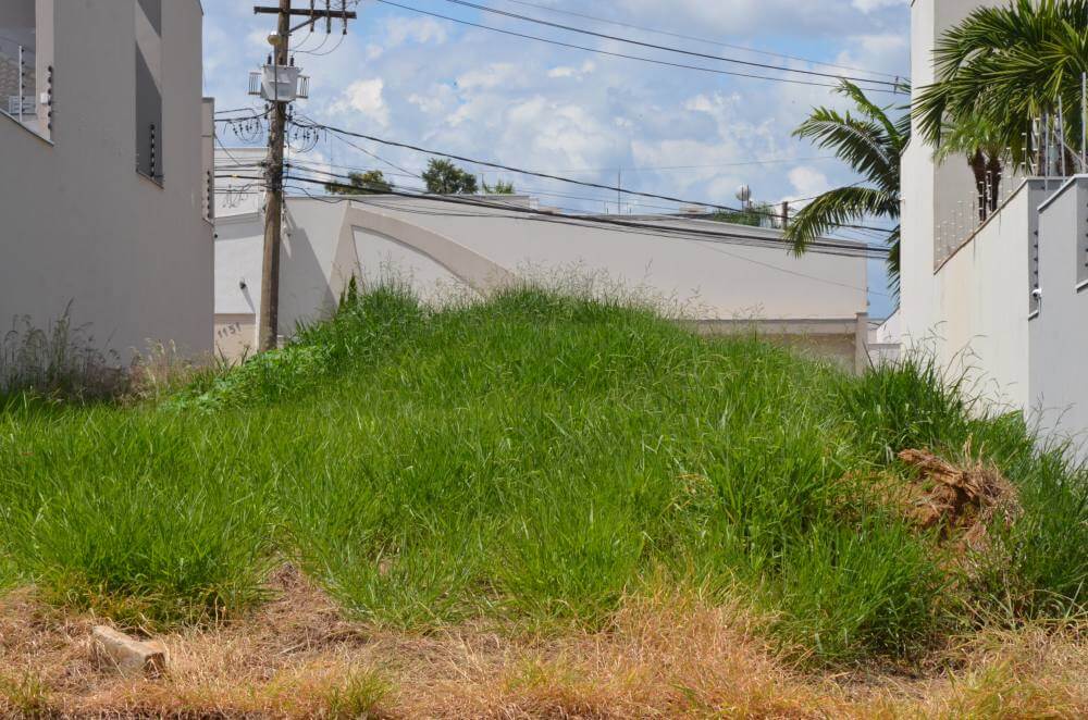 Vigilância intima mais de 300 proprietários para limpeza de terrenos