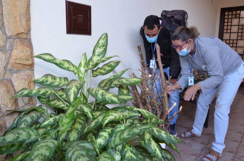 Com mais de 1,4 mil casos de dengue Franca reforça medidas preventivas