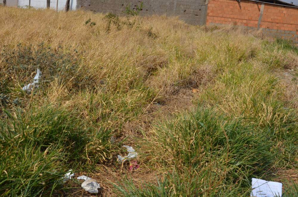 Vigilância Ambiental notifica proprietários de mais de 130 terrenos para limpeza