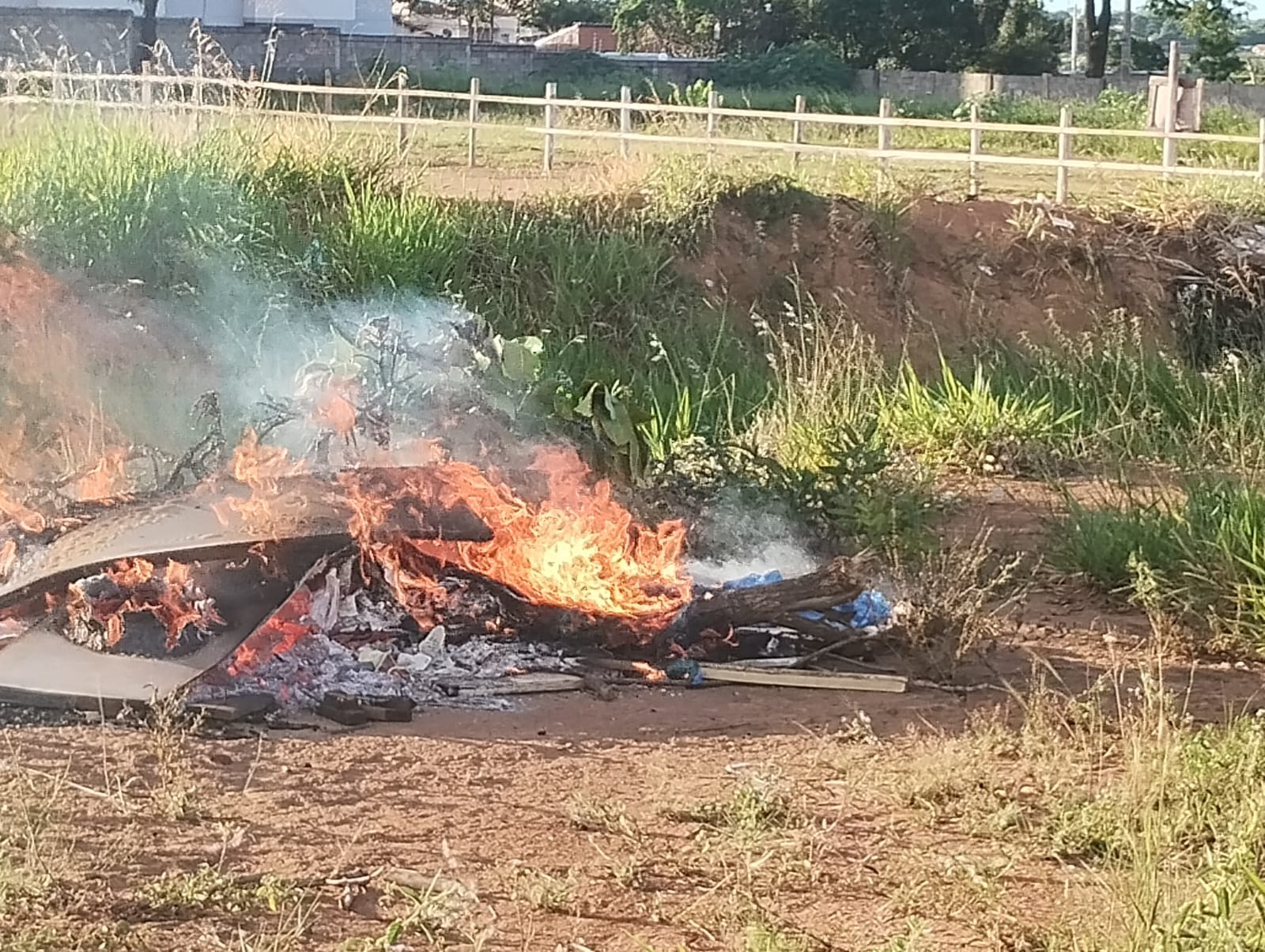 Guarda Civil fez mais de 230 autuações ambientais