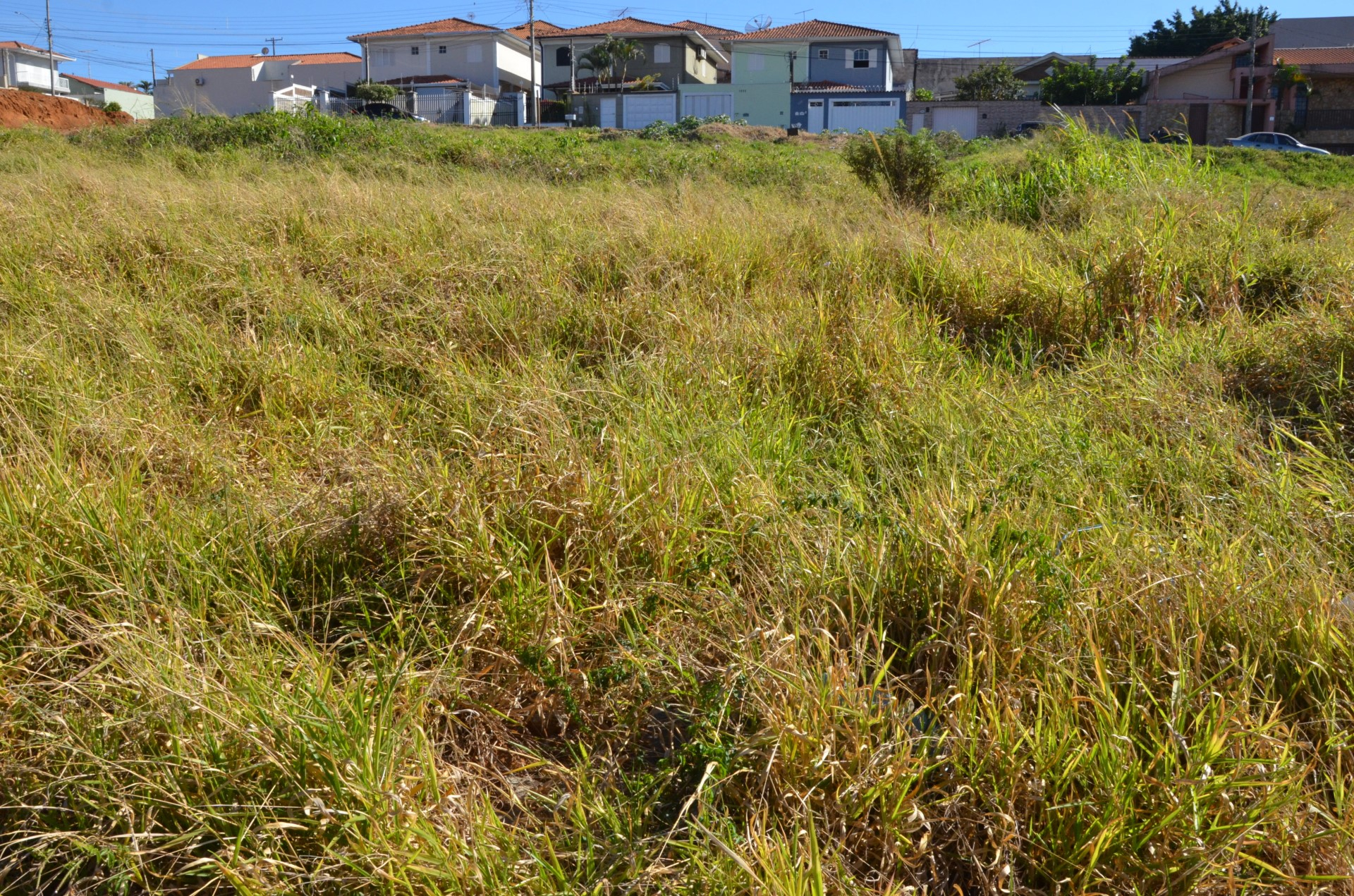 Vigilância intima mais de 300 donos de terrenos para limpeza