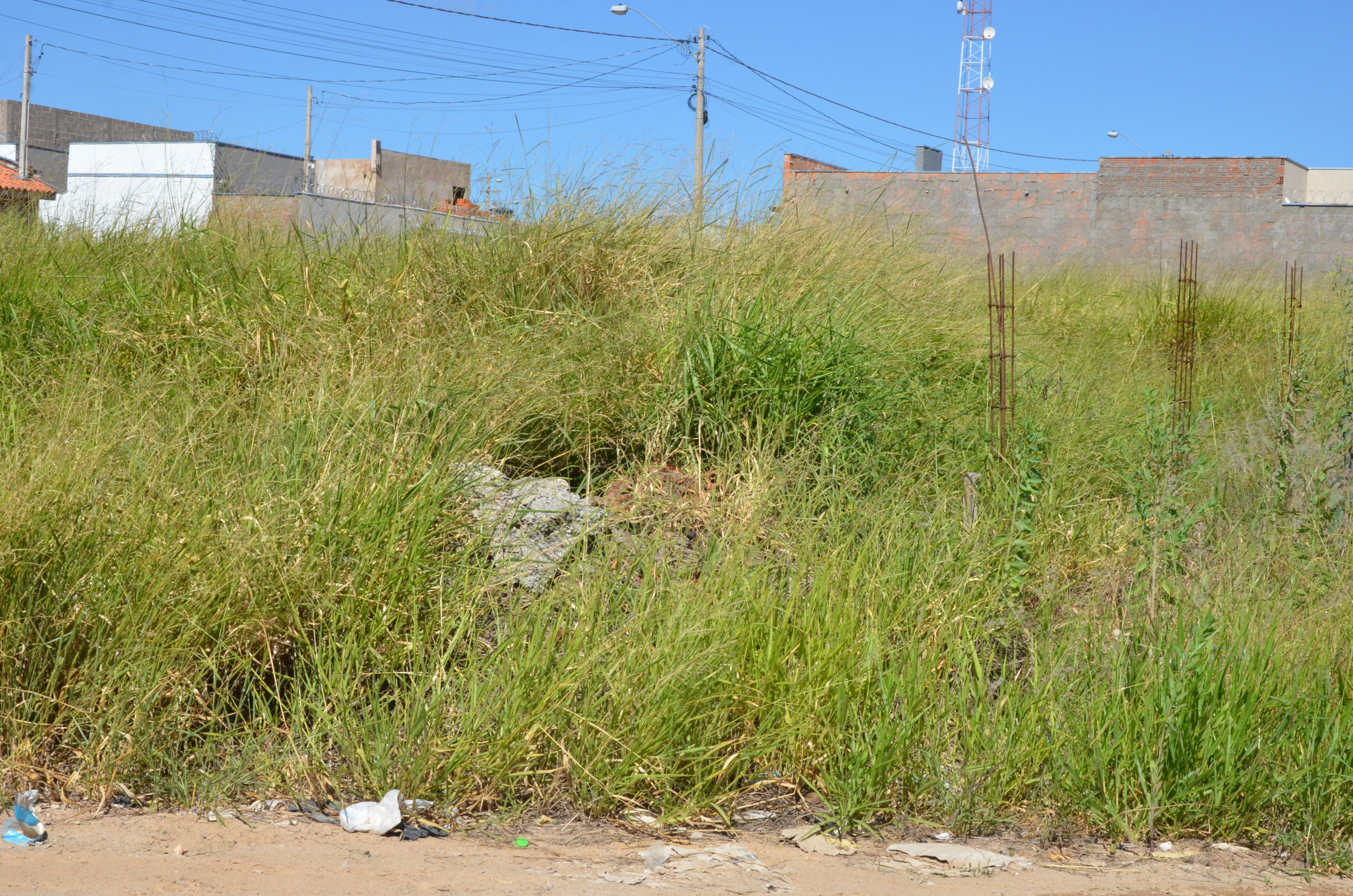 Vigilância notifica proprietários de terrenos em 18 bairros para a limpeza