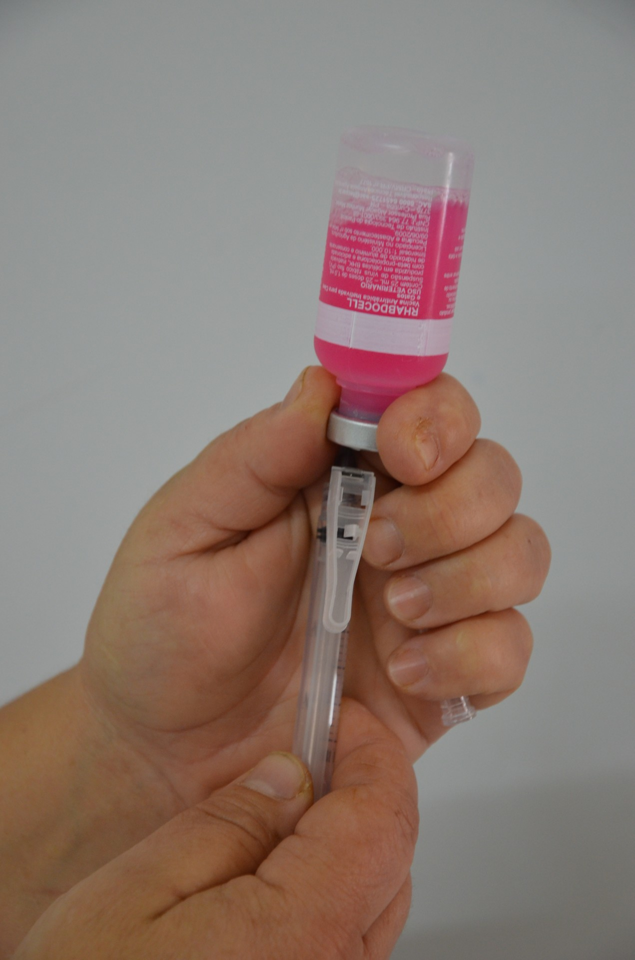 Vigilância aplica vacina contra a raiva em cães e gatos