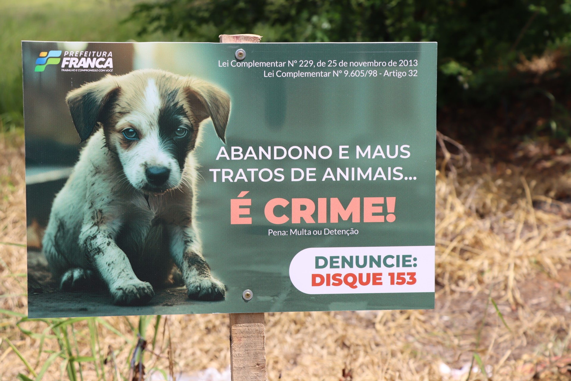 Meio Ambiente instala placas educativas sobre abandono de animais